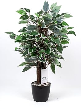 YOUR ARTIFICIAL FLOWER Stone Detailed 60 Cm Dense Leaf Benjamin Tree in Black Pot