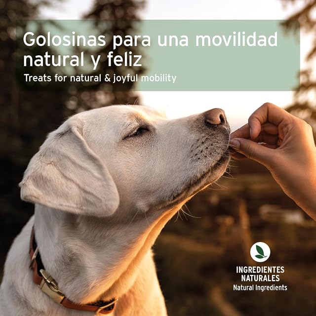 Foto 6 de 7 de AniForte Snack Articular para Perros 300g con mejillón de Labios Verdes para Las articulaciones
