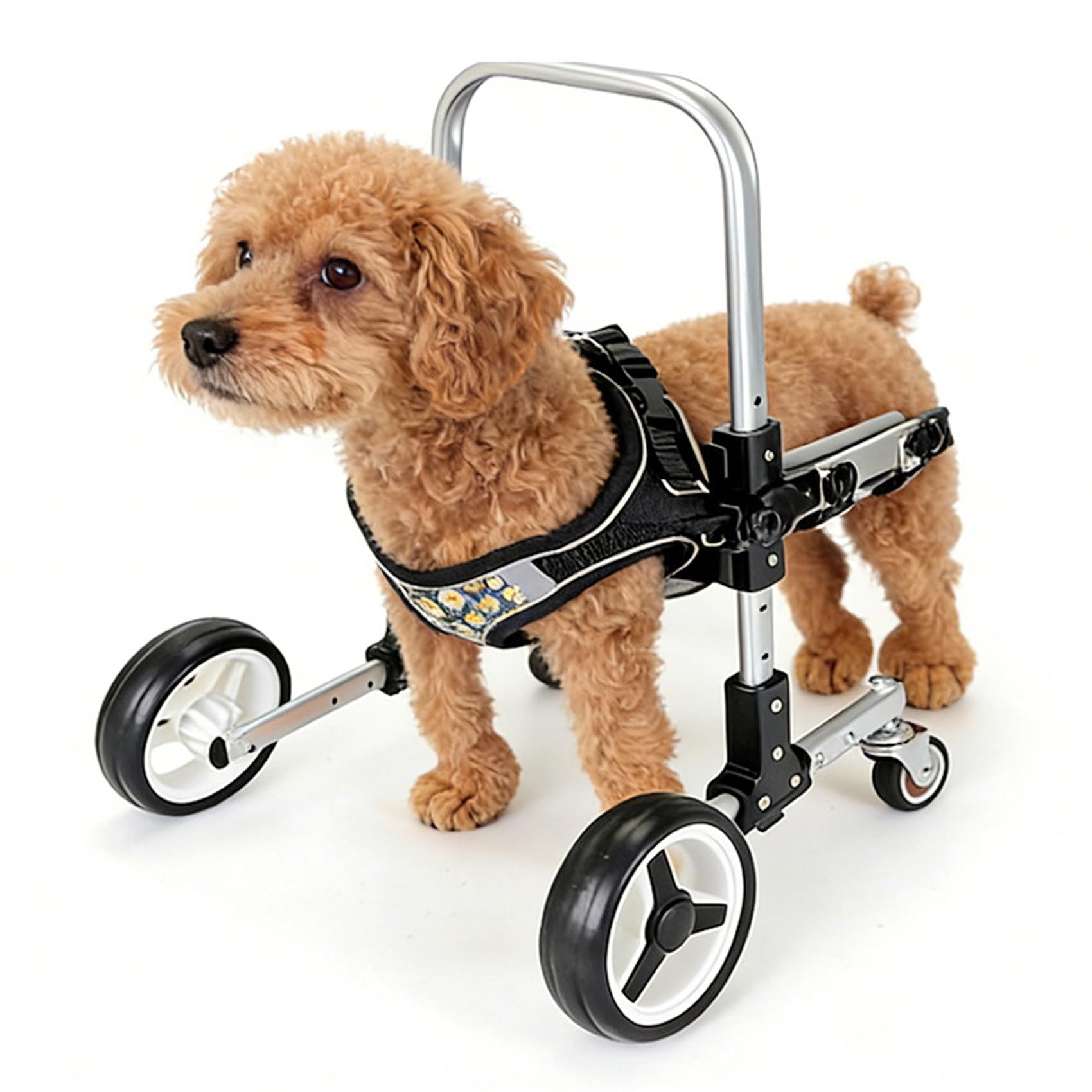 犬用四輪車椅子 歩行器 Amazon.co.jp: 犬 車椅子 前足用 歩行器 4 輪タイプ 高さ・横幅調整