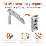 Ver la foto 2