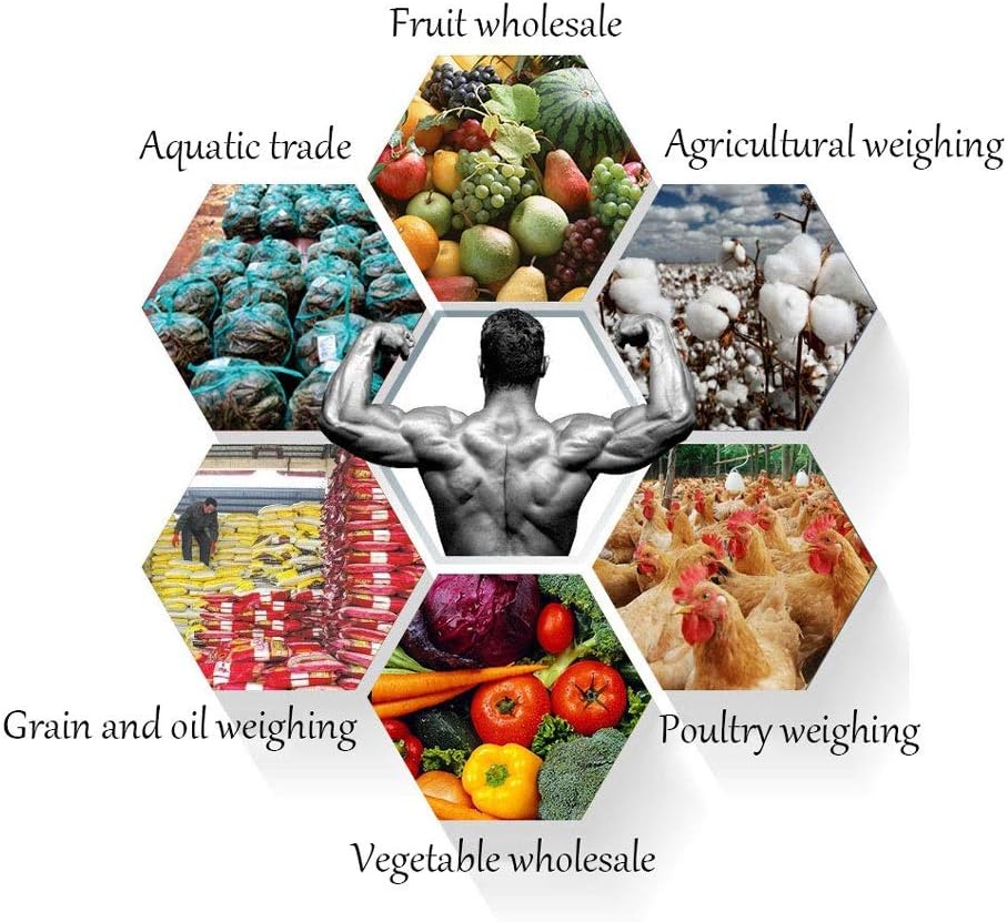 660Lb 300Kg Hanging Scale, for Farm Hunting Aquatic Products Agriculture Grain and Oil Vegetables Poultry Multi Function Scales 9.15 (Yellow)