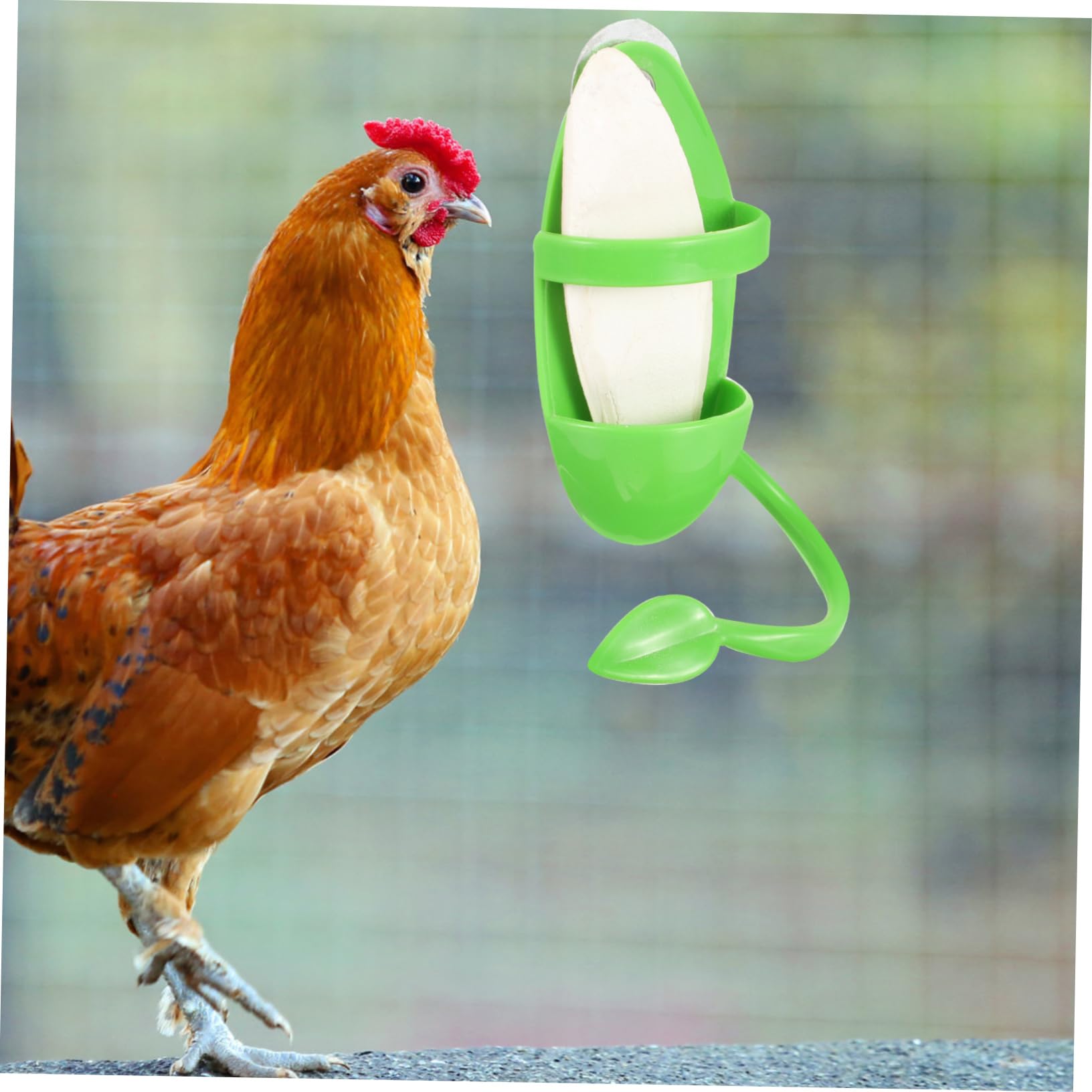 BESPORTBLE 4 Juegos Cuenco para Comer Aves Jaula pájaros Comida Soporte Herramientas comedero para periquitos porronet Juguete Estante alimentación la Jaula comedero para Loros