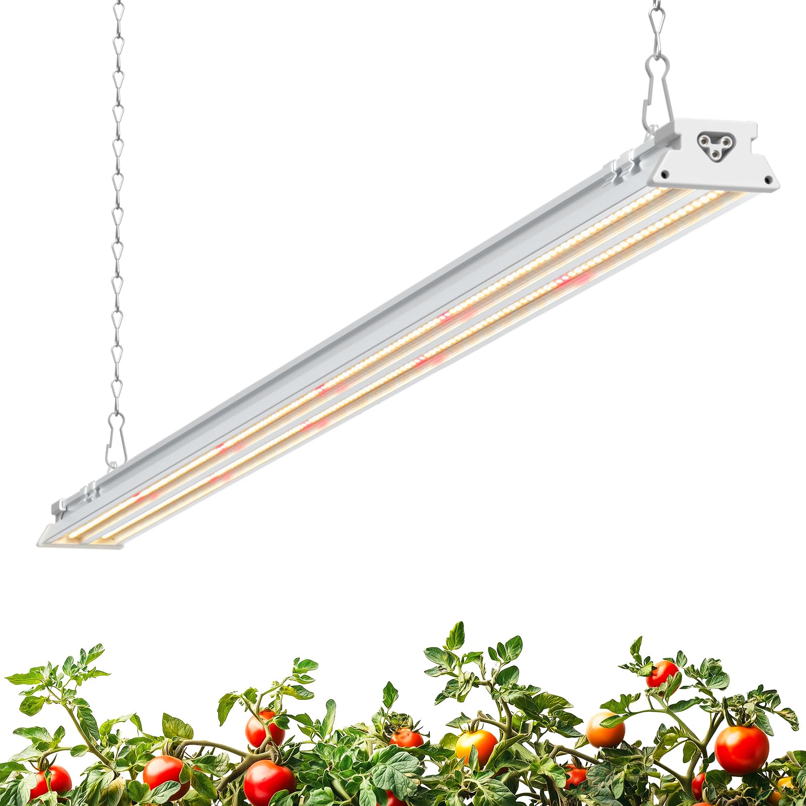 Barrina - LED Plant Grow Lights, 60W (420W Equivalent) 5000K, T8 LED Light Strips, 4ft Grow Lights for Indoor Plants, Black Cover, Plug in with Switch-picture-21