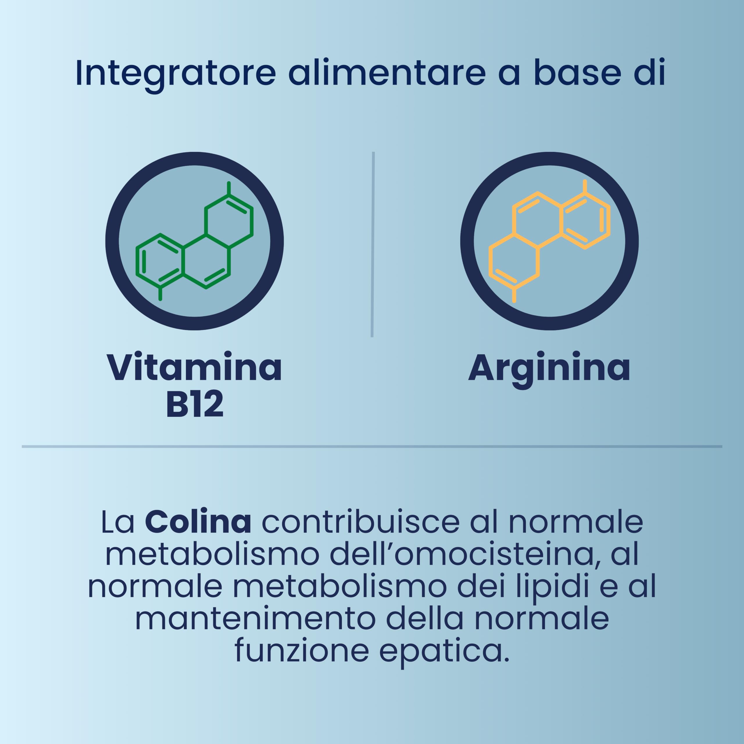 Integratore Memoria e Concentrazione, con Arginina, Colina e Vitamina B12, Senza Glutine e Senza Lattosio, 15 flaconcini da 10 ml, Tuamemor