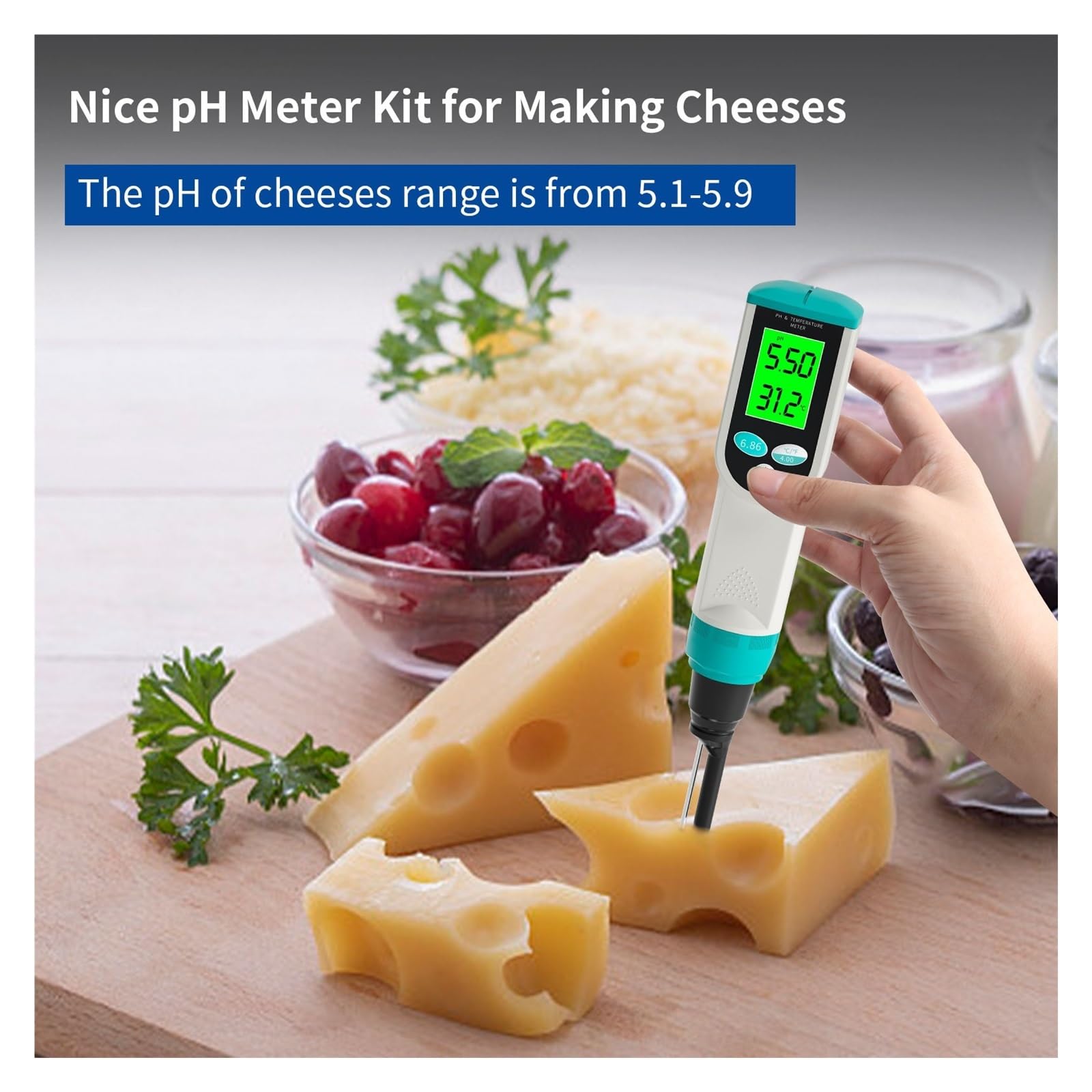 Professionelles Lebensmittel-PH-Messgerät, 0,00–14,00 PH, Temp-pH-Tester, Hochpräziser Sensor, Säureanalysator for Fleischkonserven, Käse, Teig, Wasser PräZise Messung