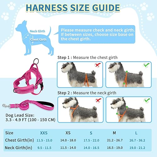 Miniatura 5 de SlowTon - Arnés y correa para perros pequeños, resistente, chaleco de paseo fácil, arnés suave acolchado reflejante, ajustable para cachorro,