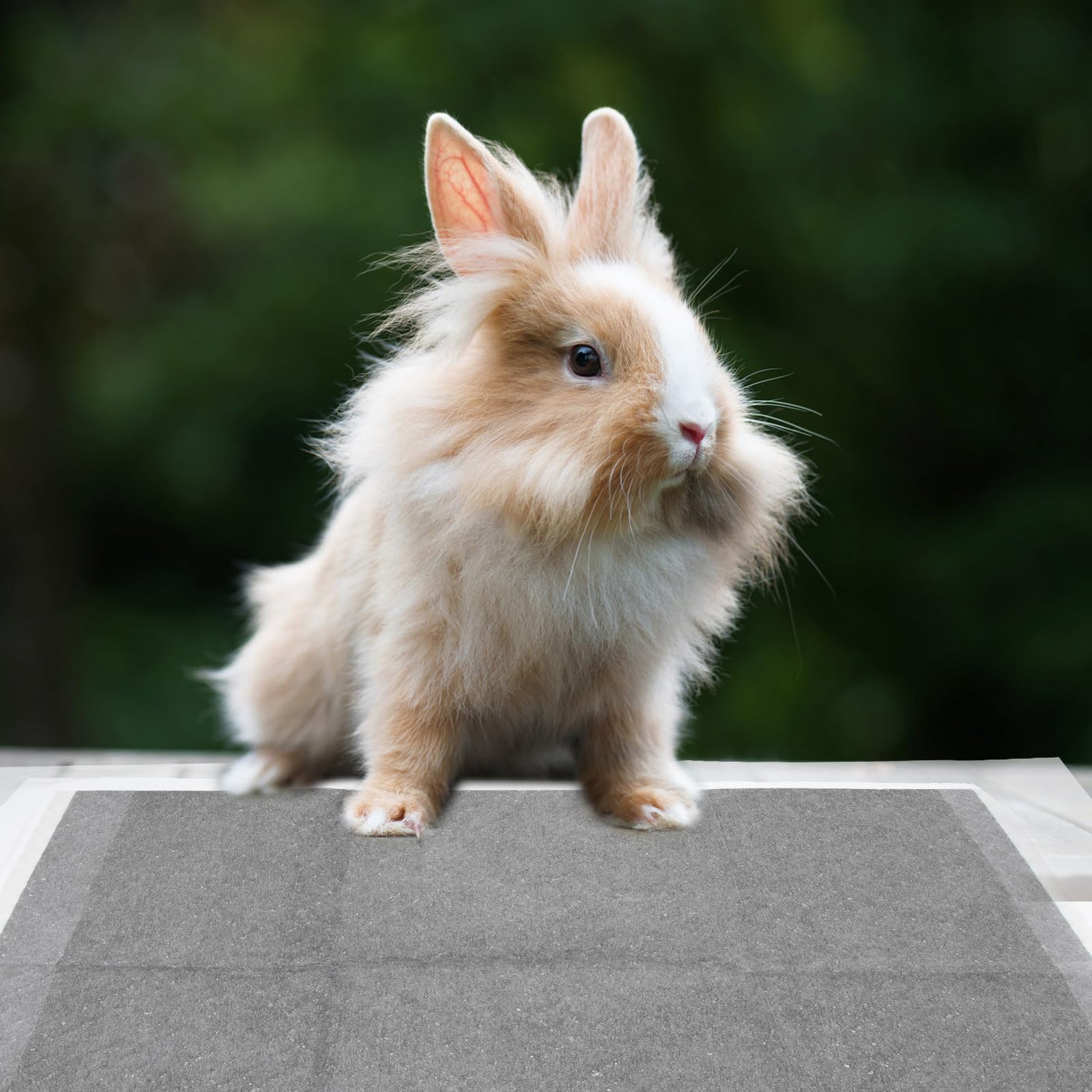 Einweg PIPI Pads für Haustiere und Hamster, 100 Stück