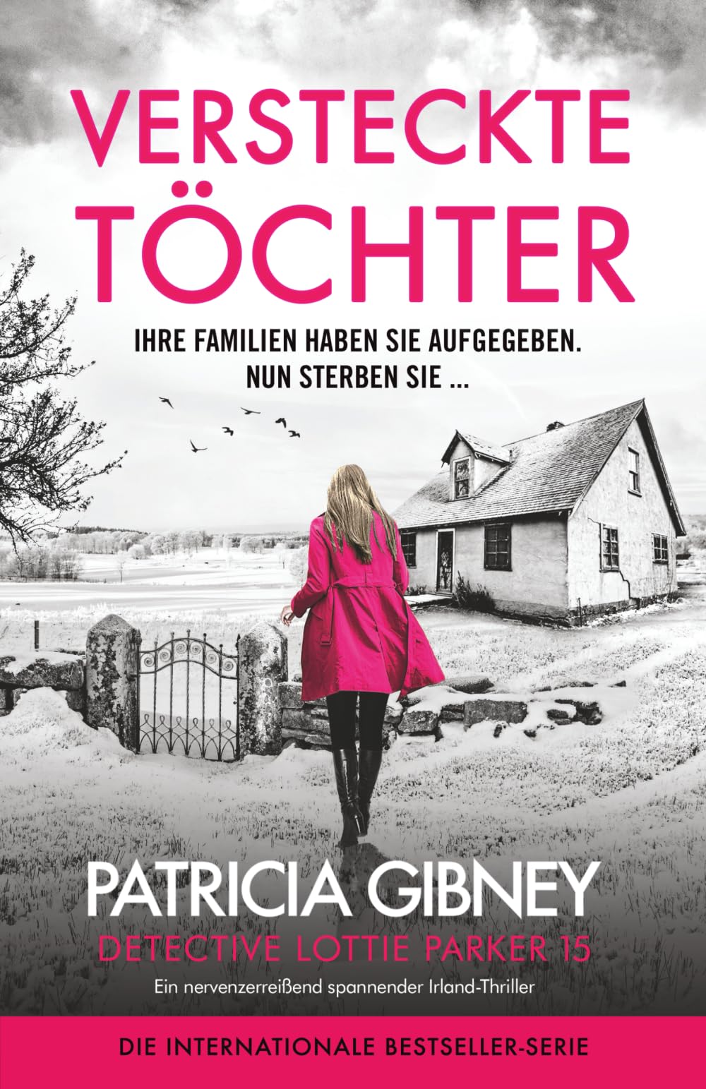 Versteckte Töchter: Ein nervenzerreißend spannender Irland-Thriller (Detective Lottie Parker)