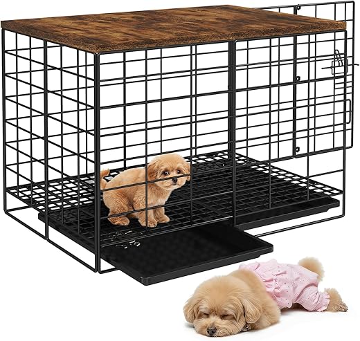 Dog Crates, Houses, & Pens