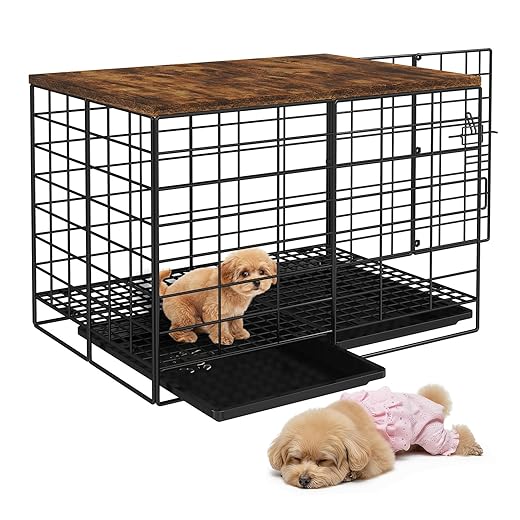 24 Inch Small Dog Crate - Indoor Puppy Kennel with Training Tray, Wooden Top & Thickened Metal Wire, Dog Cage for Small Dogs & Puppies Under 20 lbs, Decorative All-Stage Pet House