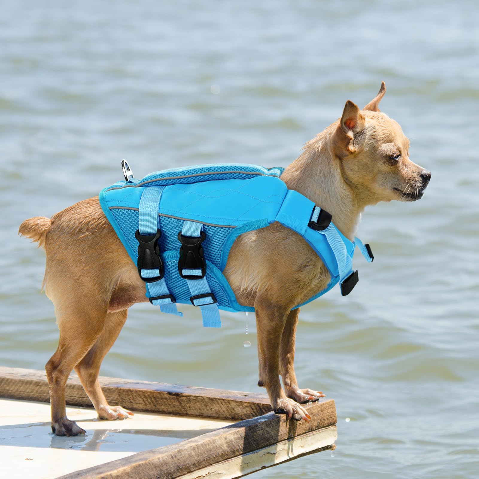 KONVINIT Giubbotti di Salvataggio per Cani,Salvagente per Cani,Giubbotto Salvagente Cane Taglia Regolabile Dog Life Jacket con Maniglia e Strisce Riflettenti,Salvagente per Caniper