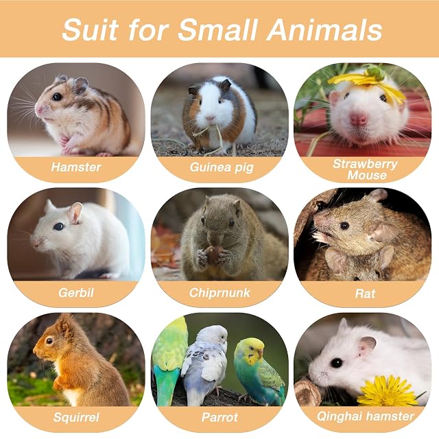 Foto 7 de 7 de ZYQUES Juego de 4 accesorios para hámster, plataforma para animales pequeños, plataforma para hámster, piso