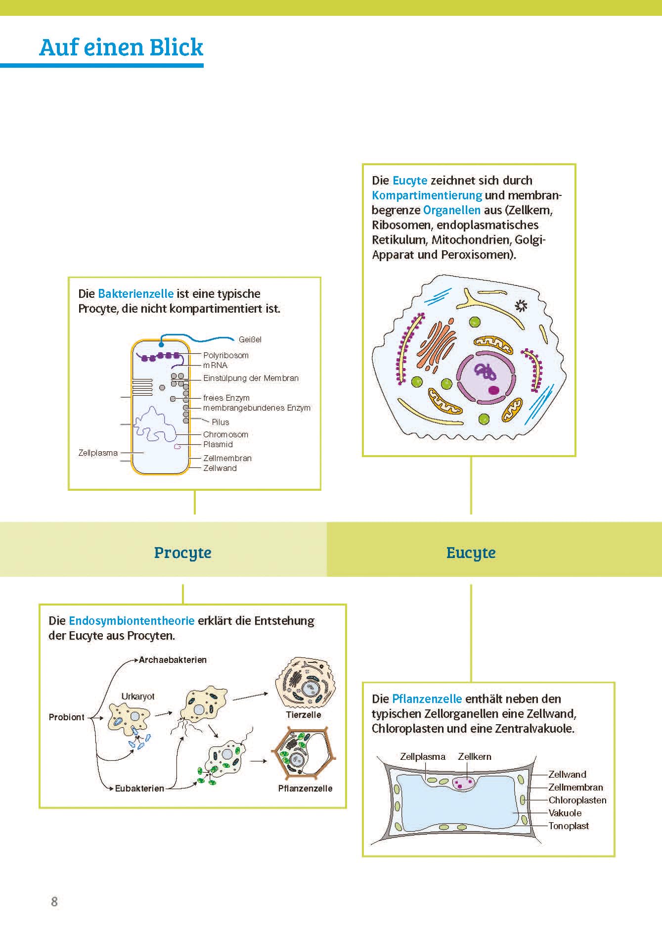 Klett Sicher im Abi Biologie: Das komplette Oberstufen-Wissen (Klett Sicher im Abi / Oberstufen-Wissen)