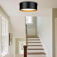 Vista 6 de Casia Luces de techo industriales de montaje empotrado, montaje empotrado cerca del techo con vidrio esmerilado, lámpara de techo de metal para sala