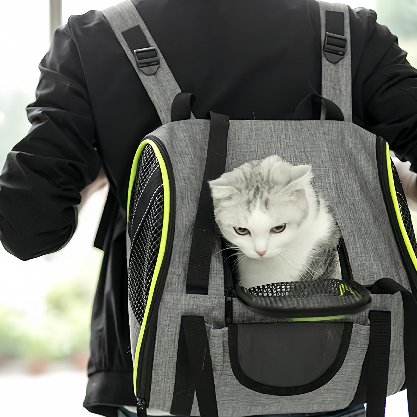 Erweiterbar Katzenrucksack, Katzen Rucksack, Hunderucksack für Katzen, Belüftetes Design, Faltbare, für Hunde Katzen Haustiere, 43 * 28 * 34cm