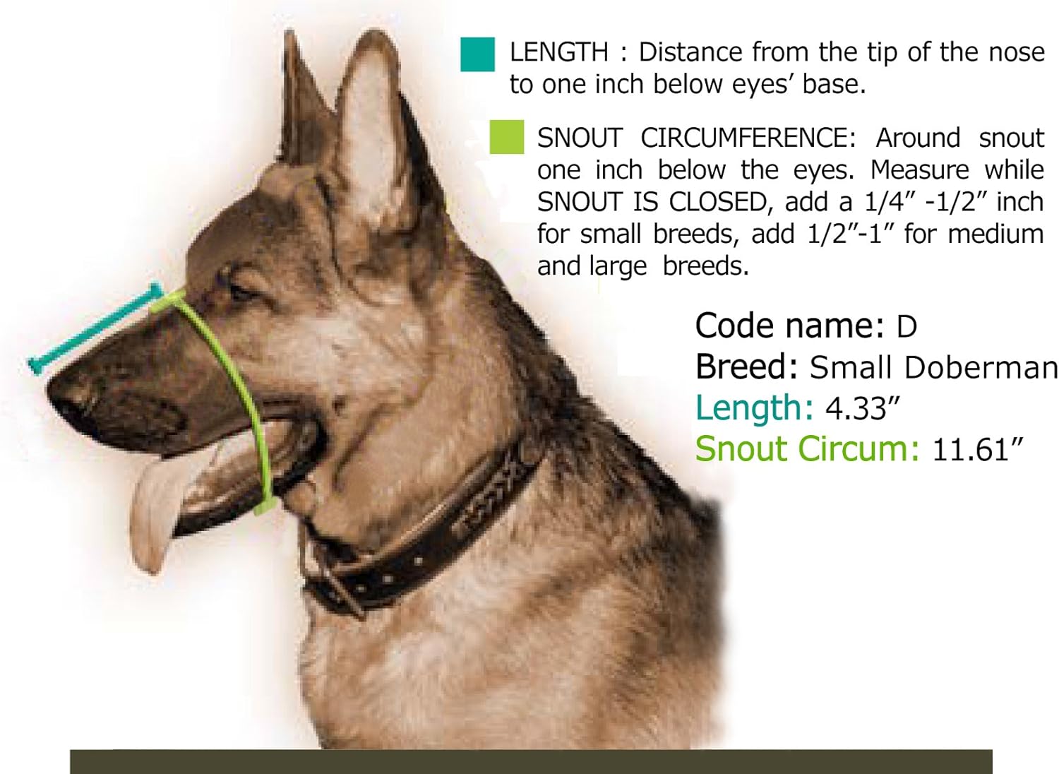 Dean & Tyler Doberman Leather Basket Muzzle