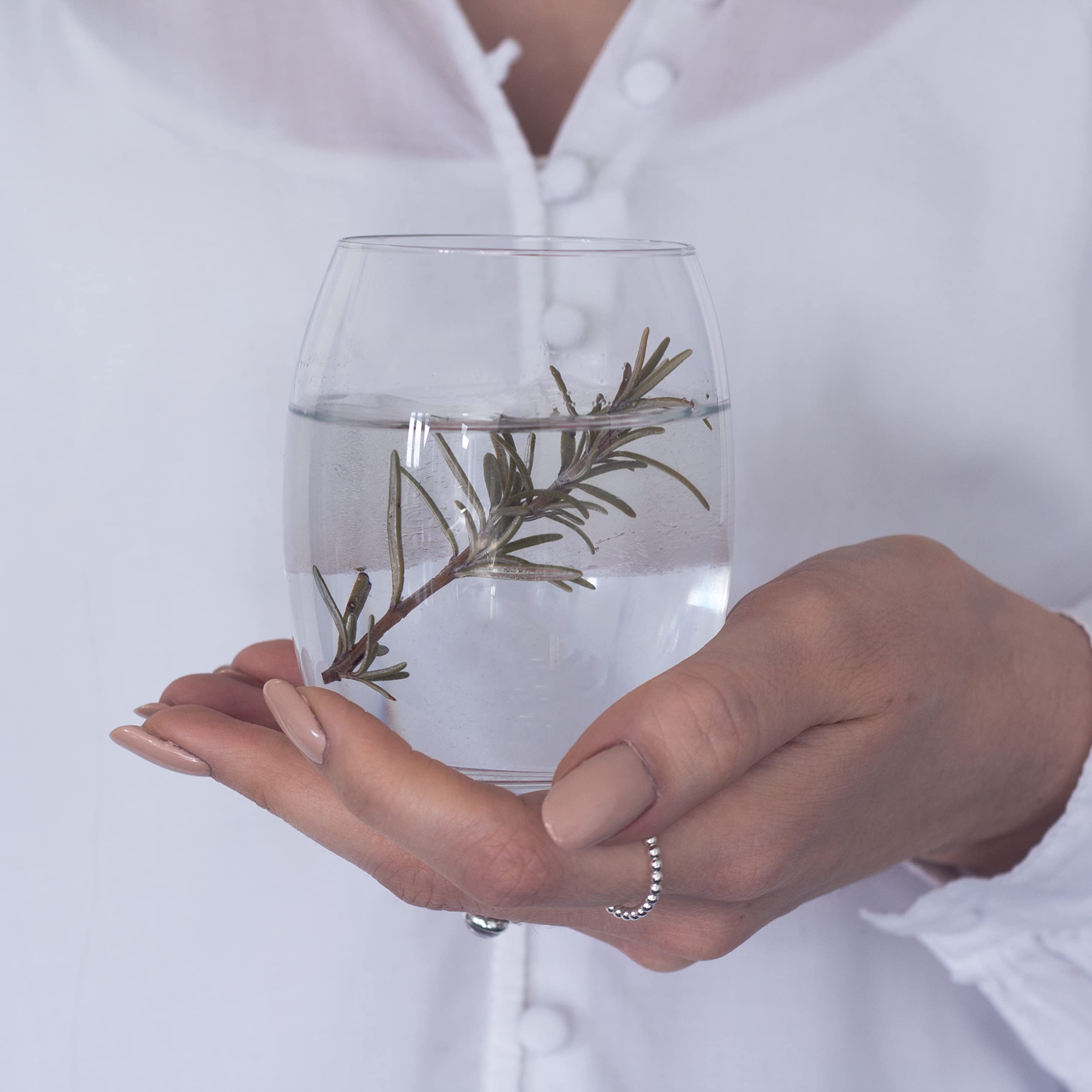 VitaJuwel Drinking Glasses with Lily Logo | 6 pcs, 6.7 fl.oz. Each