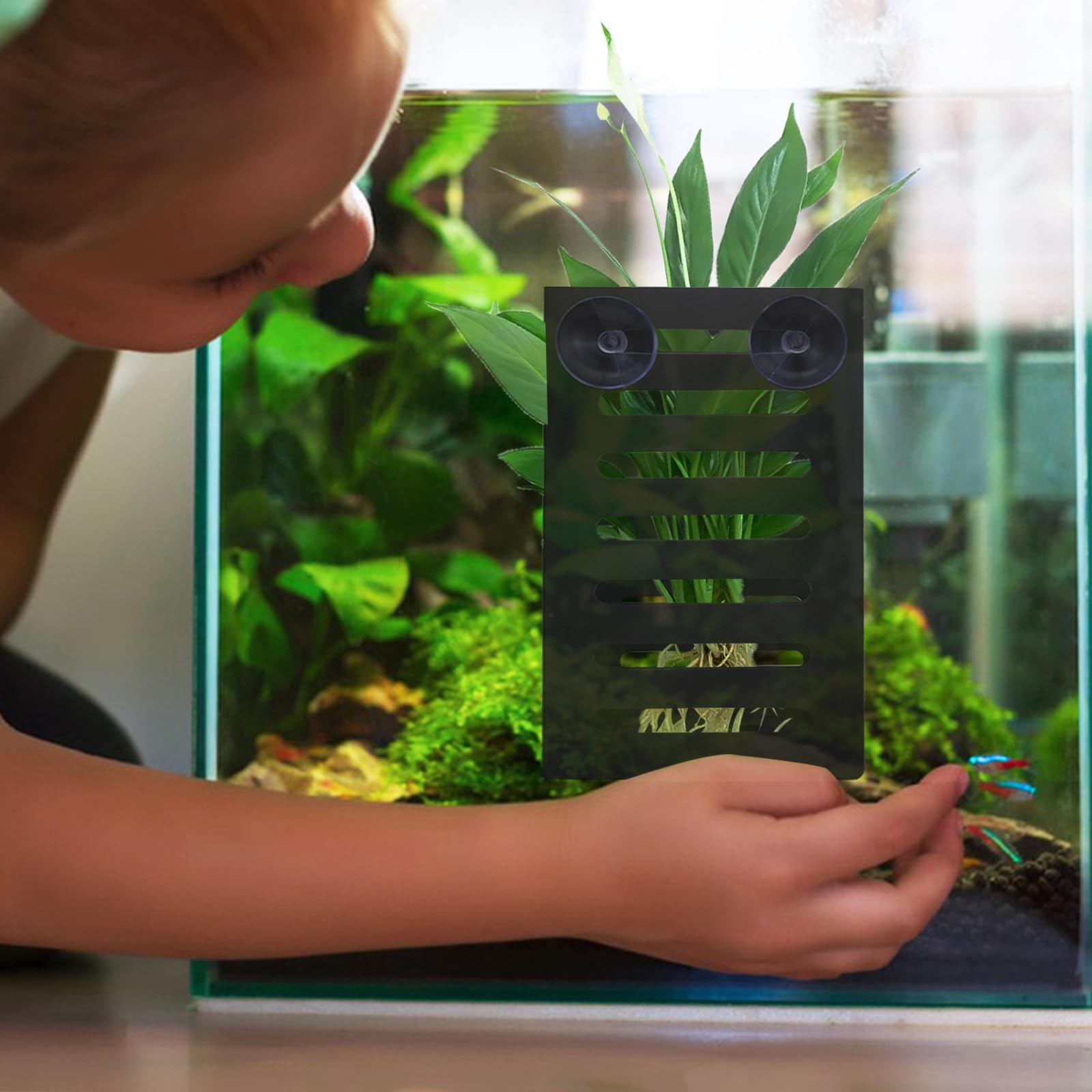 Aquarium-Pflanzenhalter Aus Kunststoff – 2 Stück, Mit Saugnäpfen & Haken, Für Wasserpflanzen, Schwarz
