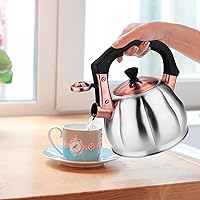 Vista 7 de Stainless Steel Tea Kettle for Stove Top Teakettles Stovetop Whistling with Heat Proof Ergonomic Handle 2.5 Quart