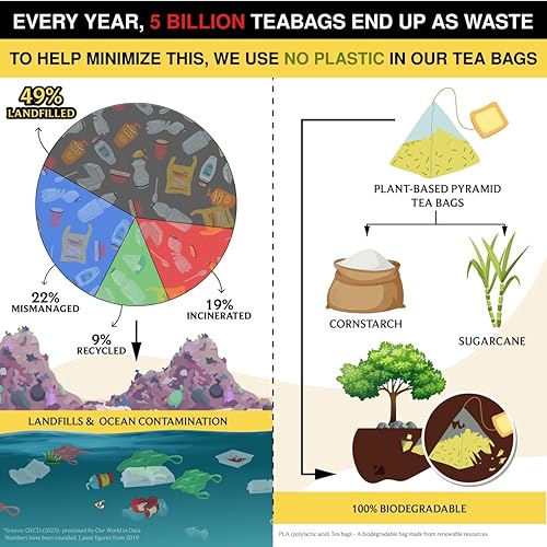 Miniatura 6 de BREWIX, Bolsas de té de hierbas Ashwagandha de cúrcuma (20 bolsas de té piramidales) Ingredientes reales de la India, sin cafeína y naturalmente sin