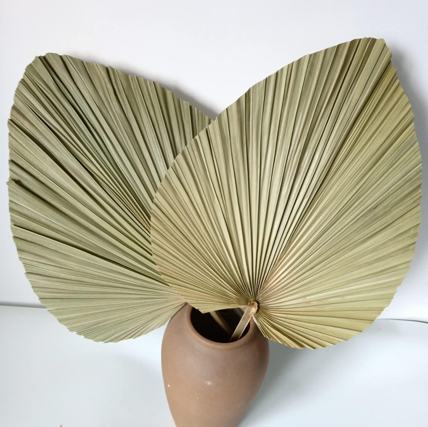 23" H x 15" W Giant Tropical Dried Palm Leaves, Large Palm Fan Leaves for Wedding Home Decor, Set of 2