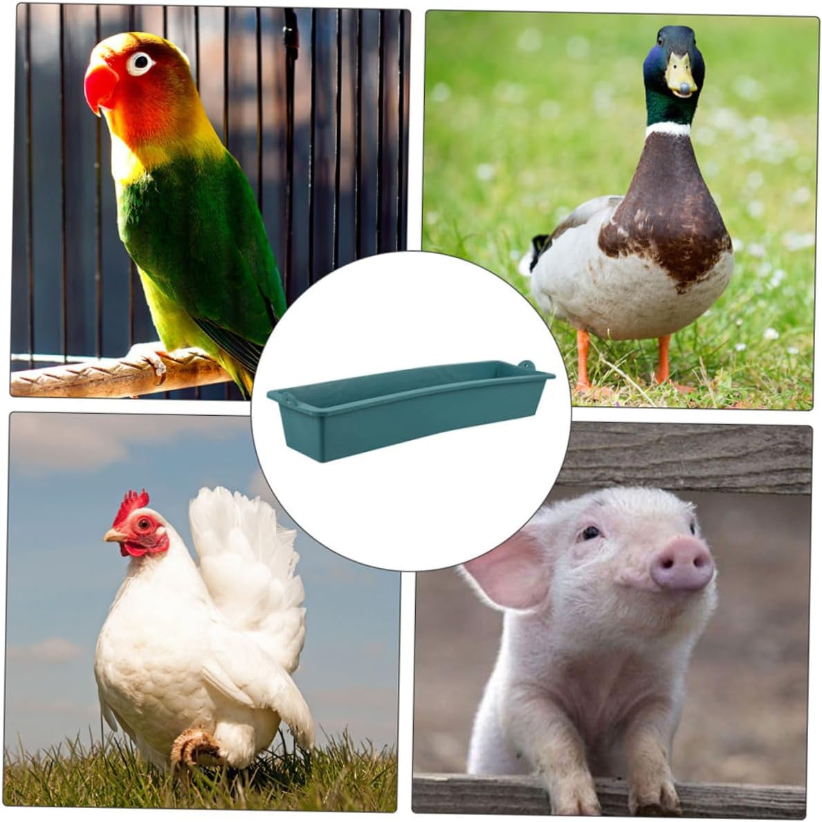 BESTonZON 4pcs Livestock Feeding Troughs for Chickens Ducks and Goats Plastic Pet Feeders for Mixed Farming Easy to Reduces Waste Hanging Design