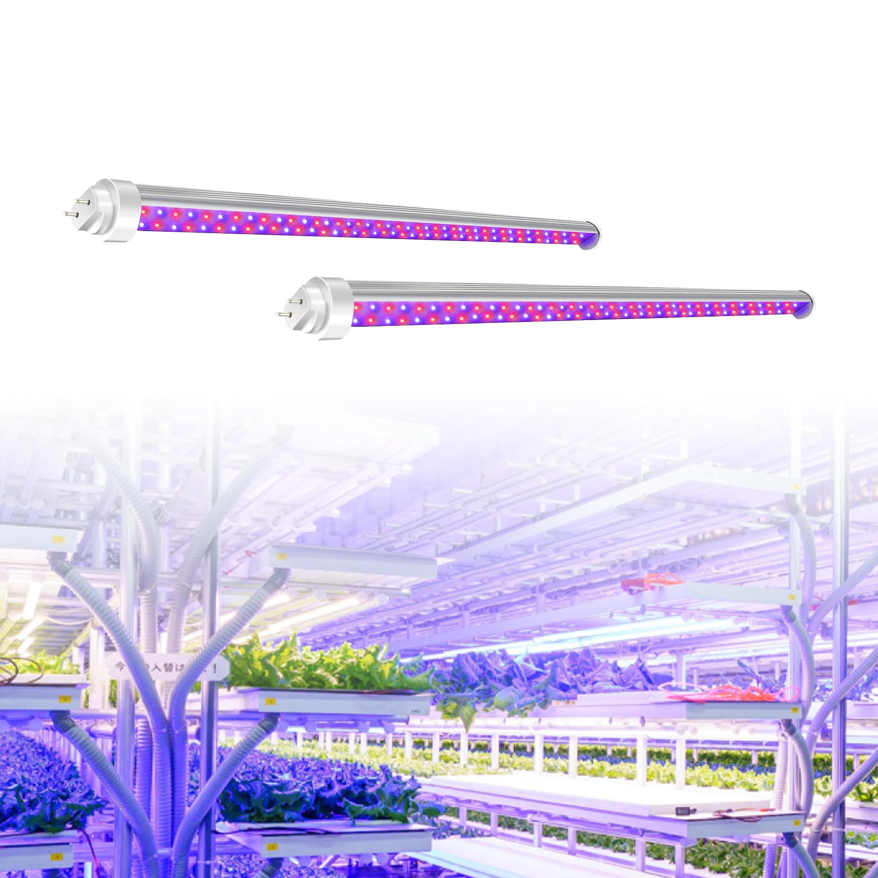 Amazon.co.jp: 植物育成ライト 40w 120cm 2Pcs 直管型 植物工場 植物