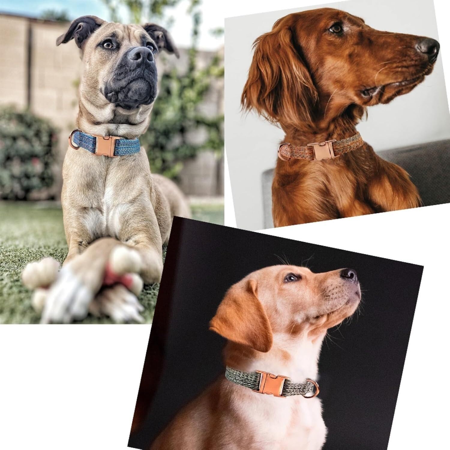 collare per animali domestici, Set collare for cani e guinzaglio da 4,9 piedi, base regolabile con fibbia in metallo resistente anello a D morbido(Brown,S)