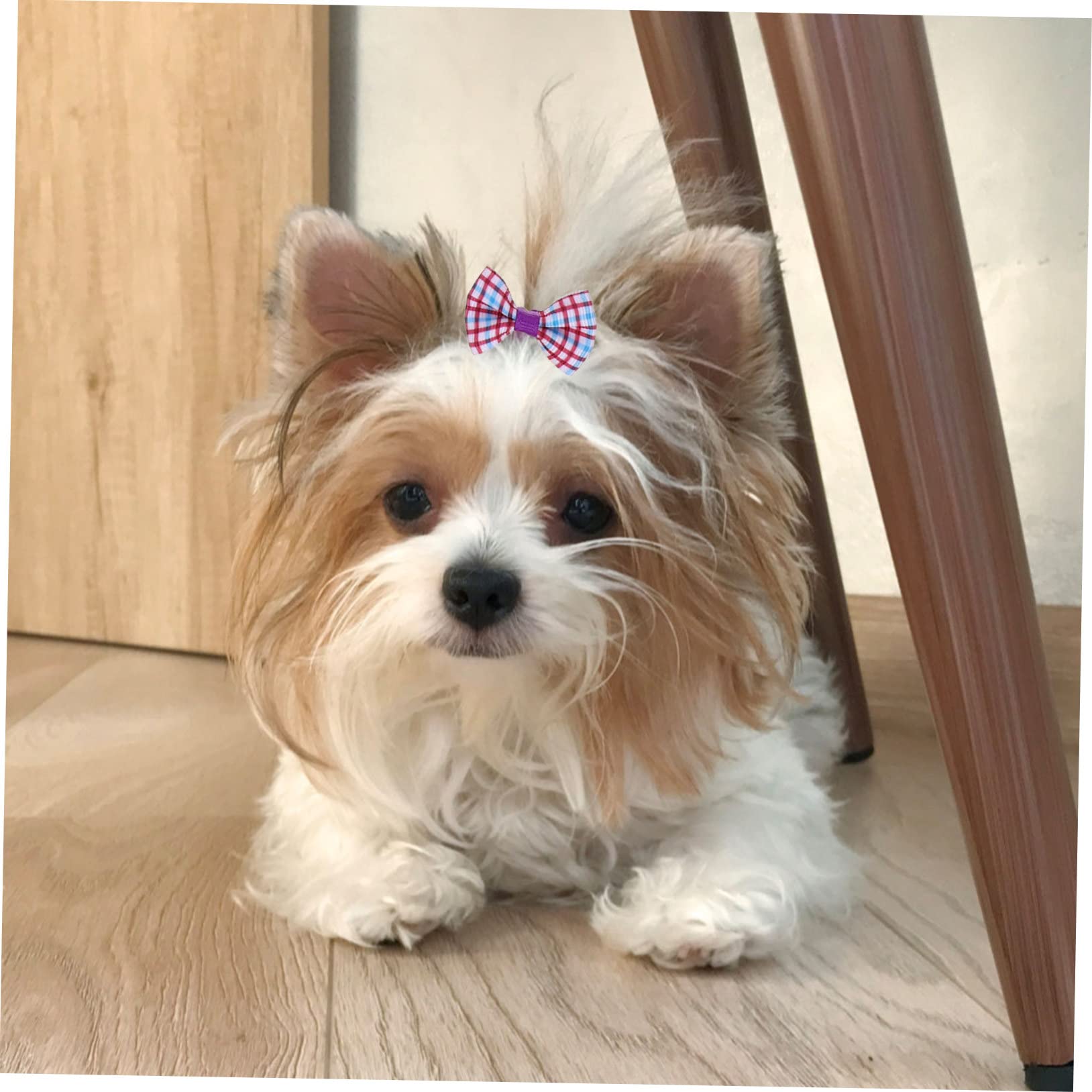 Mipcase 300 Piezas Flor De Cabeza De Mascota Perro Arcos Chica Cuidados del Perro Accesorios para Disfraces De Perros Pequeños Lazos para El Pelo De Perro Paño Pequeño Arco Elástico