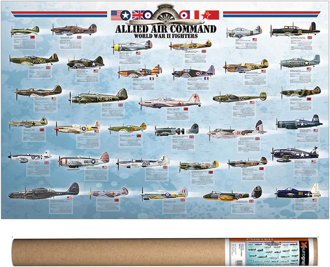 AlliedAirCommand WWII Fighters, Poster 36 x 24 inch by Eurographics