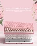 Womier 60% Keyboard QMK/VIA, Pink Gaming Mechanical Keyboard Creamy | Hot Swappable Gasket Mount RGB Wired Jade Keyboard, Jelly Keycaps POM Linear Switch for Windows/MAC(VK66 PRO Jelly)