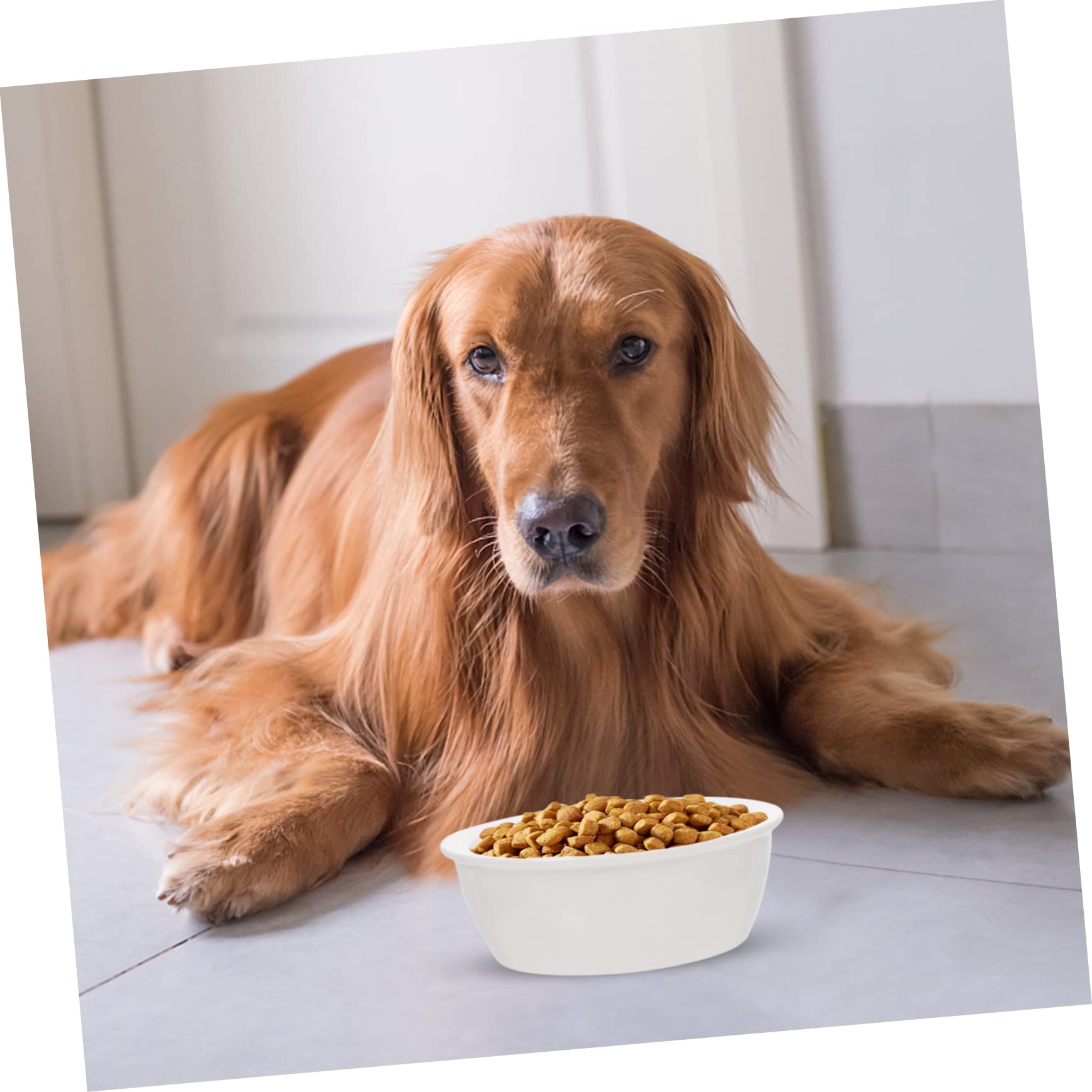 SUPVOX Doggy Bowls Set 2 Pack Puppy Food Bowl Ceramic Cat Feeder Pet Supply Easy- Cat and