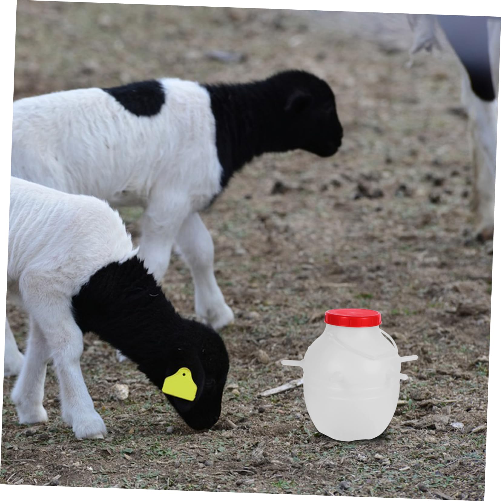 Biberon Latte per Agnelli da 8000ml con Ciuccio in Silicone | Secchio Bianco Riutilizzabile, Plastico per Alimentazione Sicura, per Vitelli e Animali Appena Nati