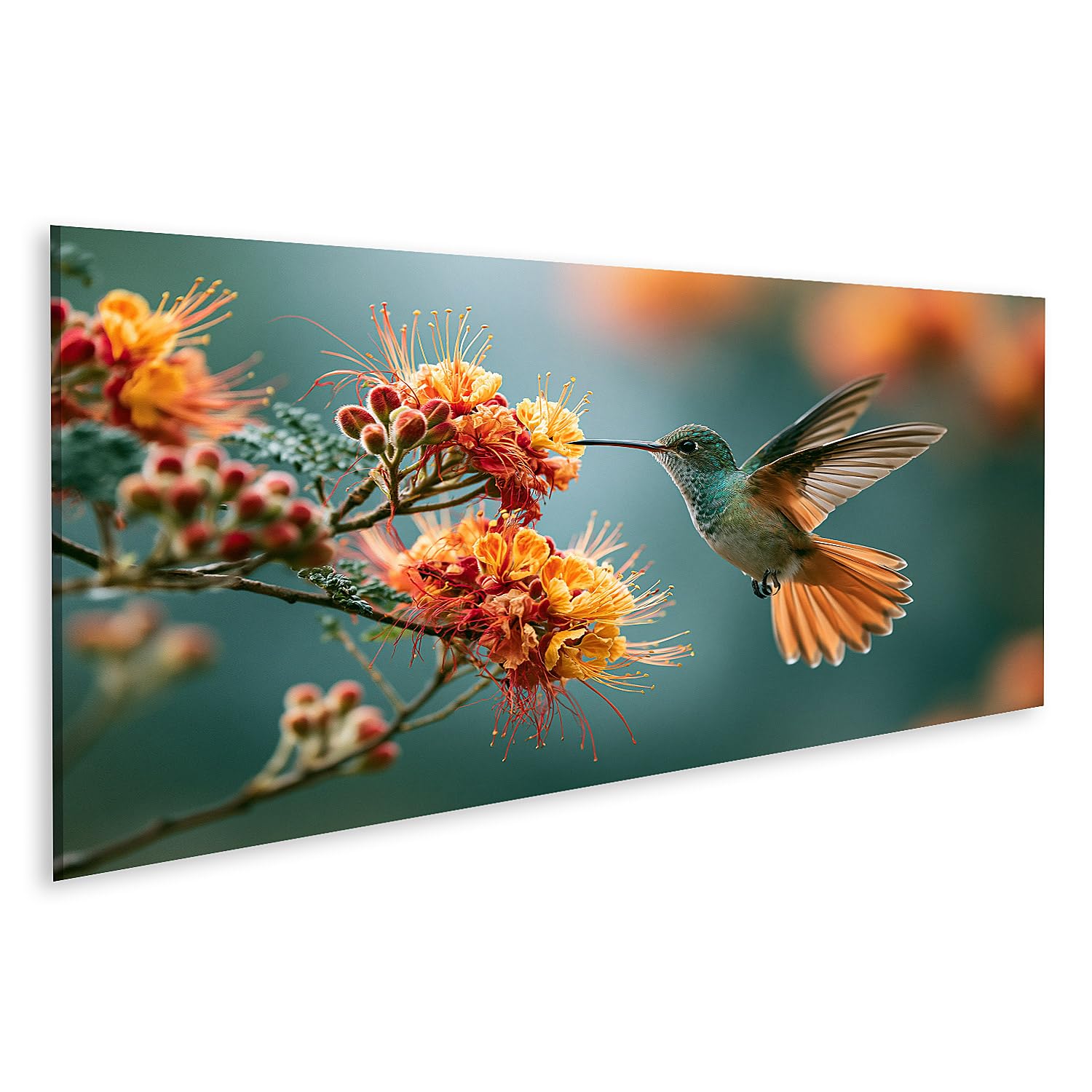 islandburner Cuadro sobre lienzo con diseño de colibrí mágico, diseño panorámico, edición T1
