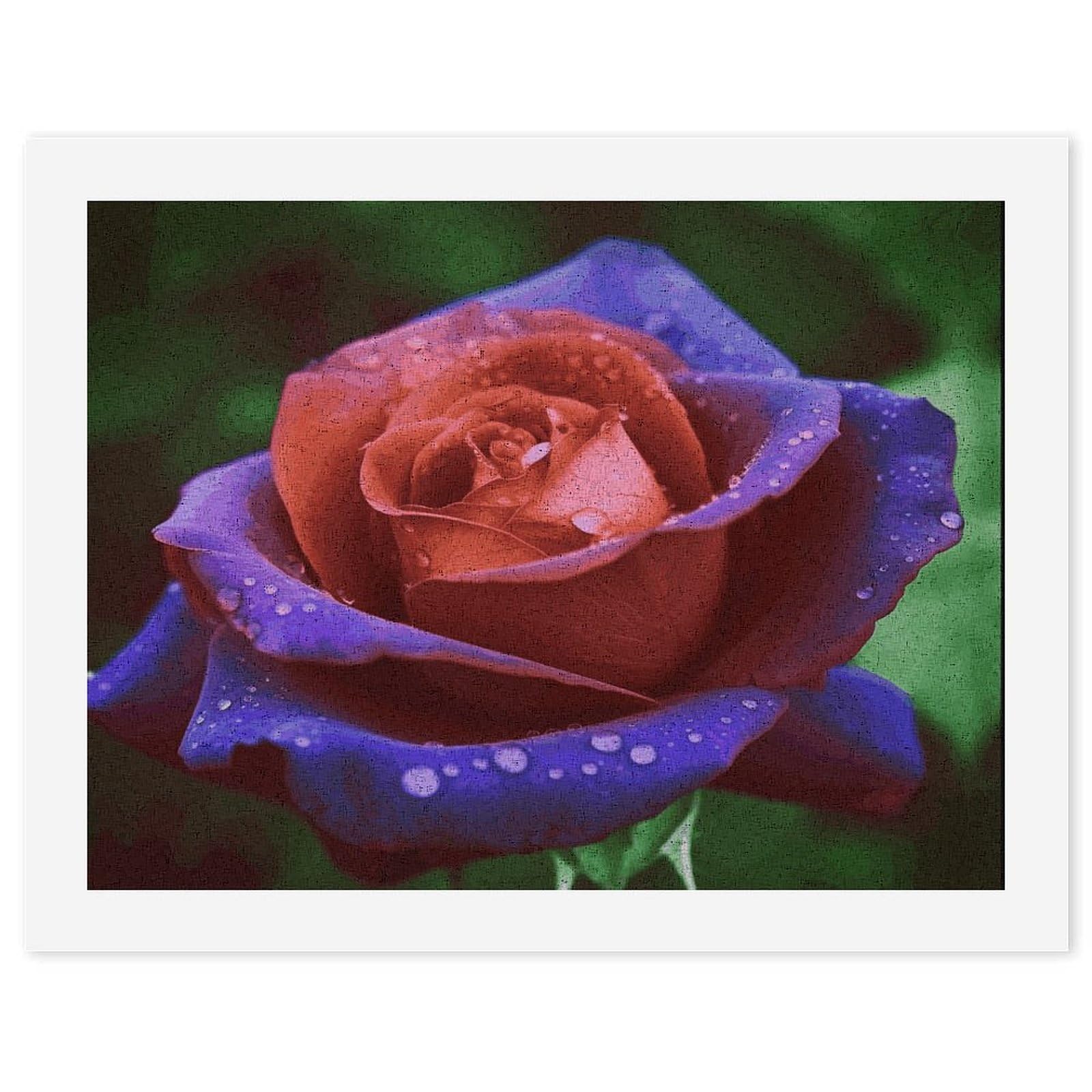 MUSM DIY Digital Painting Rose Paint by Numbers Kit for Adults Canvas Digital Oil Painting Kit for Beginners Easy Paintings by Numbers for Home Wall Decoration