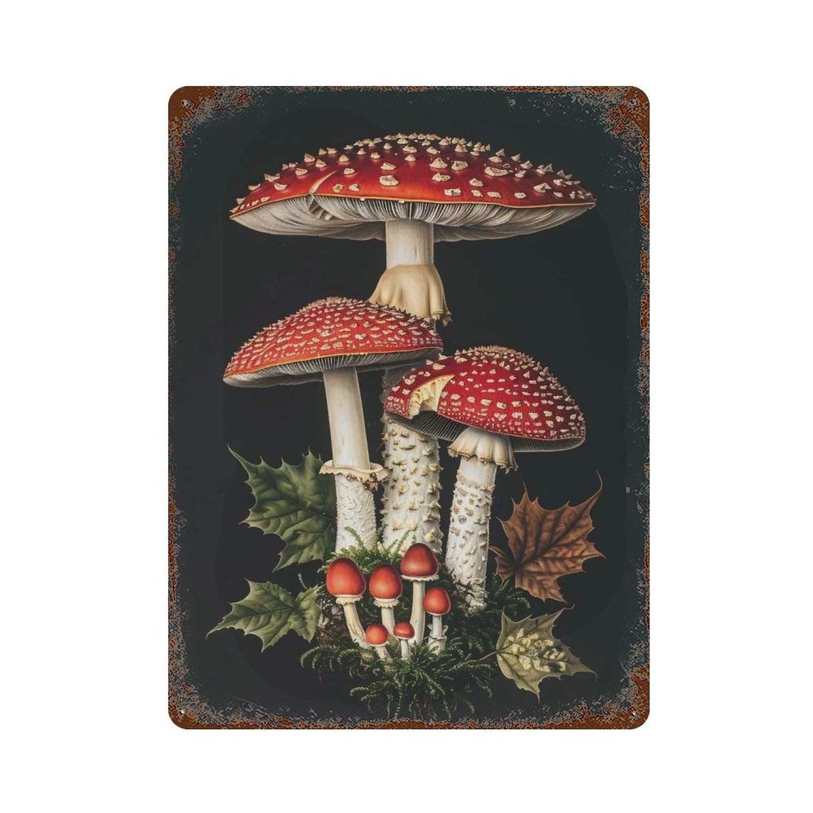 HDURYEYRYY Dark Forest Amanita Muscaria 03 Wall Retro Iron Vintage Art Metal Tin Sign Poster Modern Home Cofffee Club Art Bar Shop Decor 40x30cm