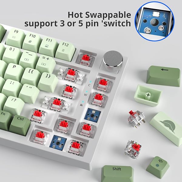 SOLIDEE Verkabelte Mechanische Gaming Tastatur 75%,hot-swap-fähige mechanische Tastatur Gasket,RGB Hintergrundbeleuchtung,QWERTY 82 Tasten TKL Gaming Tastatur,NKRO Tastatur mit Drehknopf(82 Matcha) - 5