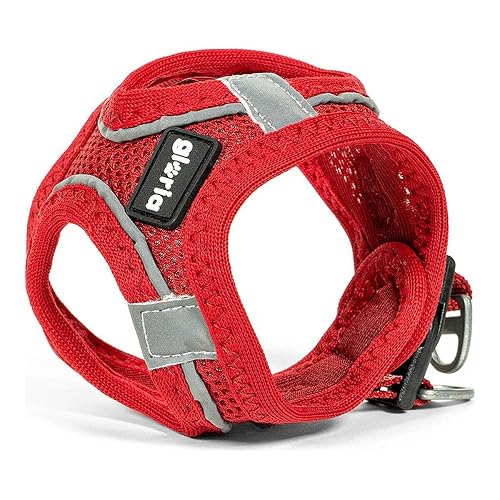 Arnés/Vestido Air Mesh Trek Star