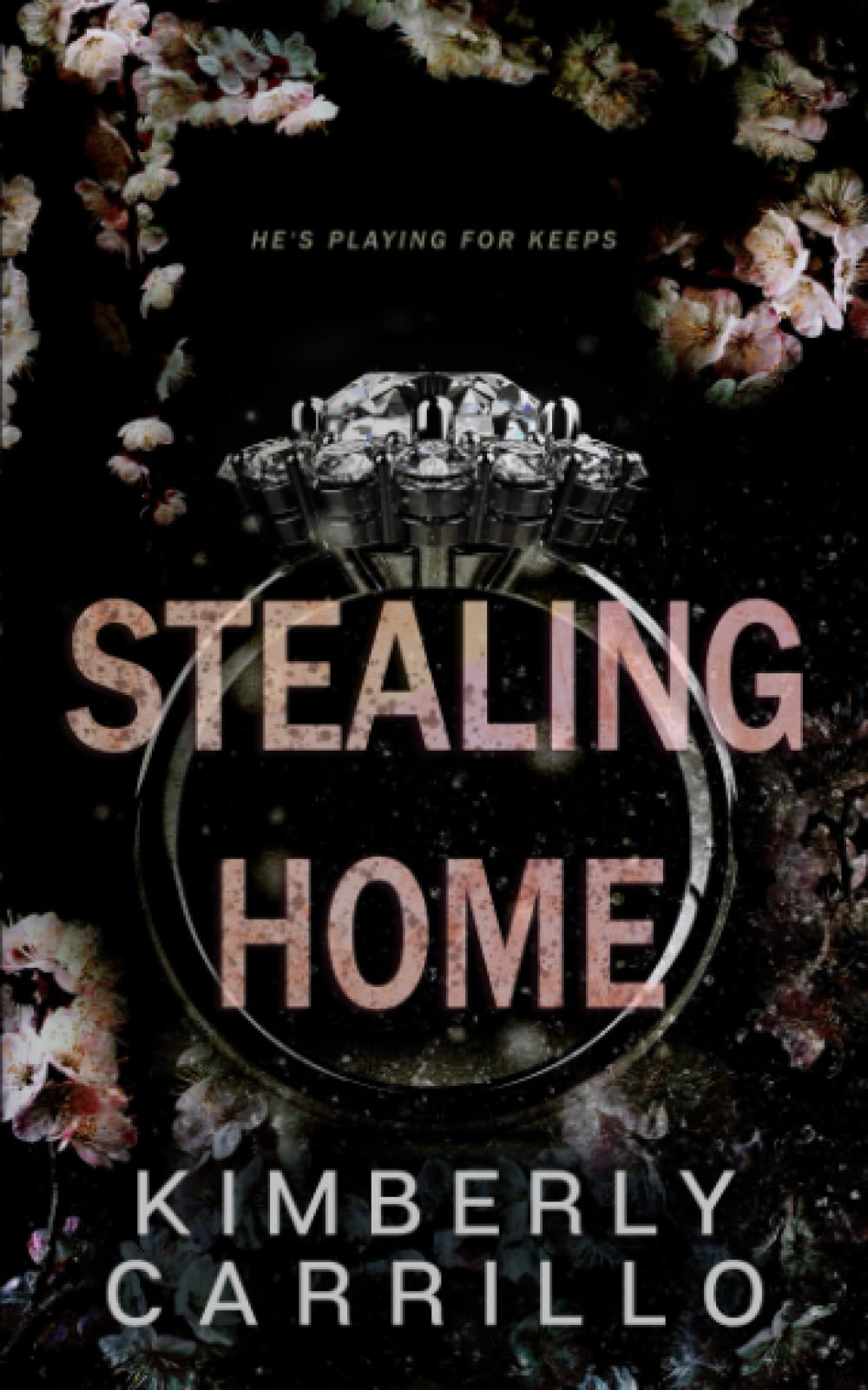Stealing Home: A Forbidden Reverse Age Gap Romance (Broken Vows)