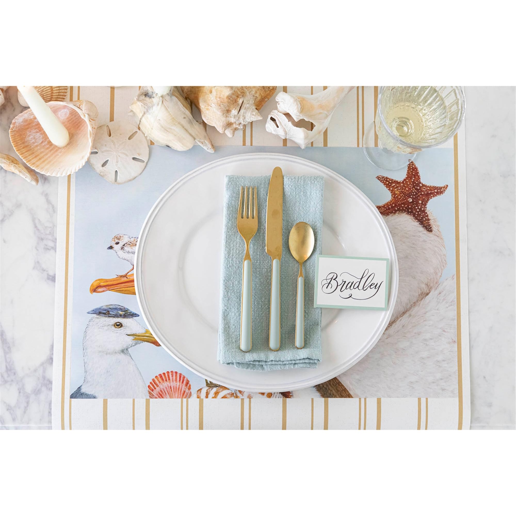 Hester & Cook Manteles individuales de papel desechables para mesa de comedor, tapetes cuadrados de papel para fiestas o bodas, 18 hojas por bloc, fabricados en Estados Unidos (aves playeras)