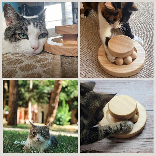 Foto 6 de 6 de Juguete de bambú para gatos, bola y pista, juego de tocadiscos y bolas, diferentes niveles de nivel