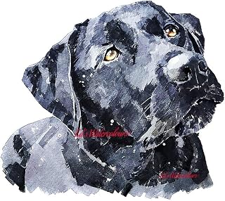 Black Labrador - Print Watercolour,Labardor art, Labardor print, Labardor art print, Labardor wall decor