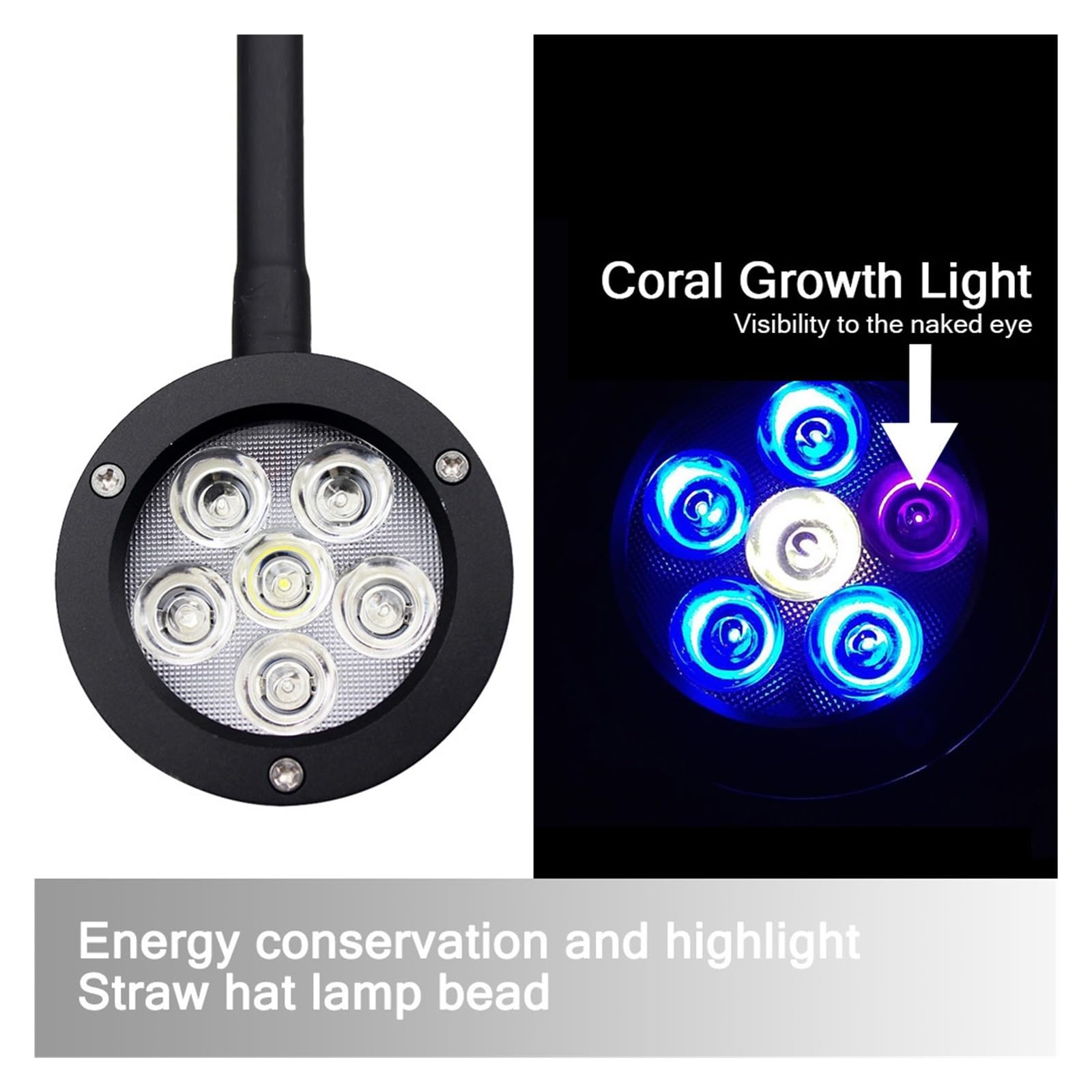 Aquariumlicht, 18W Aquarium LED Licht Marine Korallen SPS LPS Aqua Meer Riff Tank Blau Weiß Anfänger for 30-50cm Kleine Meerwasser Tank(Q2-B timer)