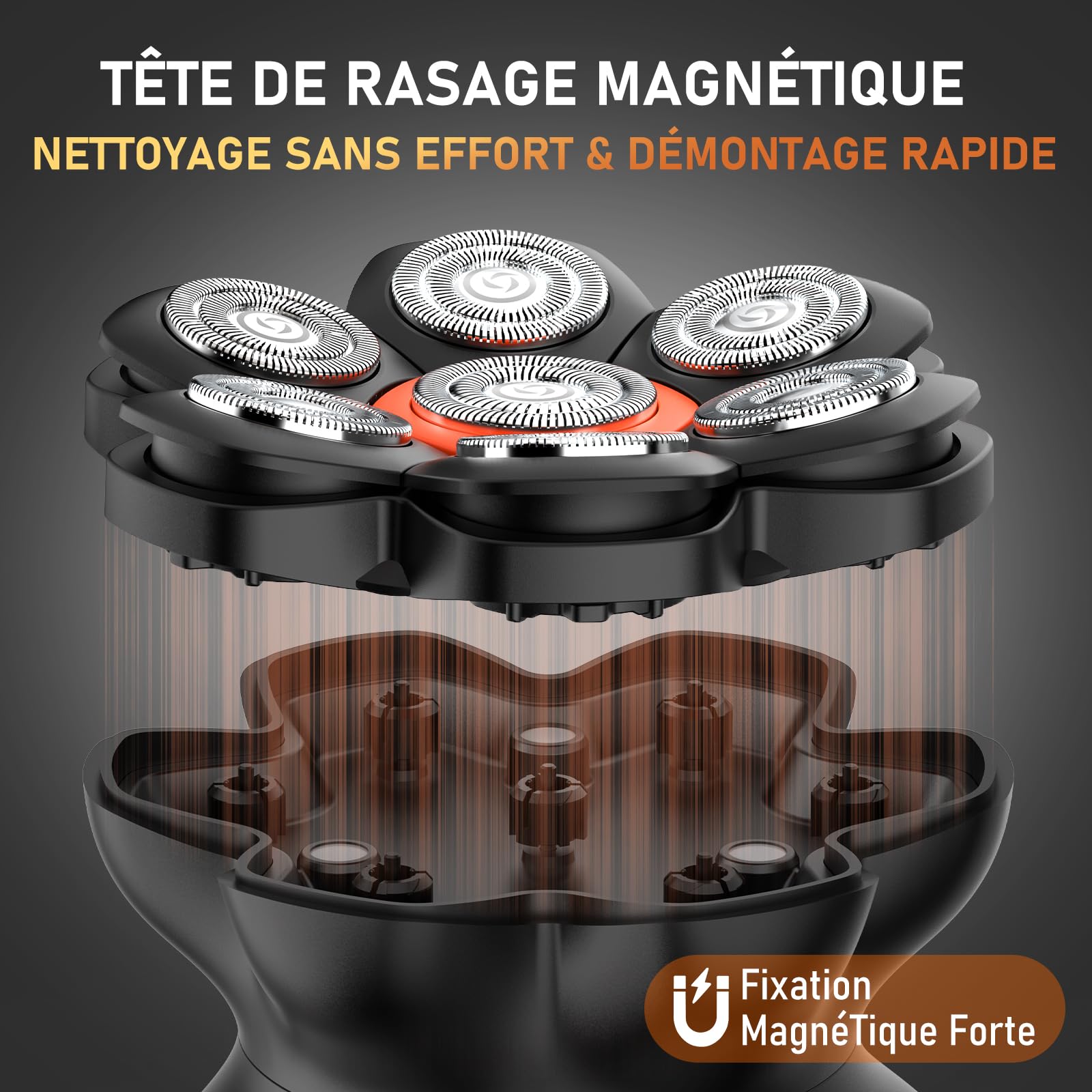 MAXGROOM Rasoir Tête Chauve Homme - Rasoir Électrique Crâne à Têtes Flottantes 7D - Étanche IPX6 & Nettoyage Magnétique - 2 Vitesses - Idée Cadeau Homme (Noir)