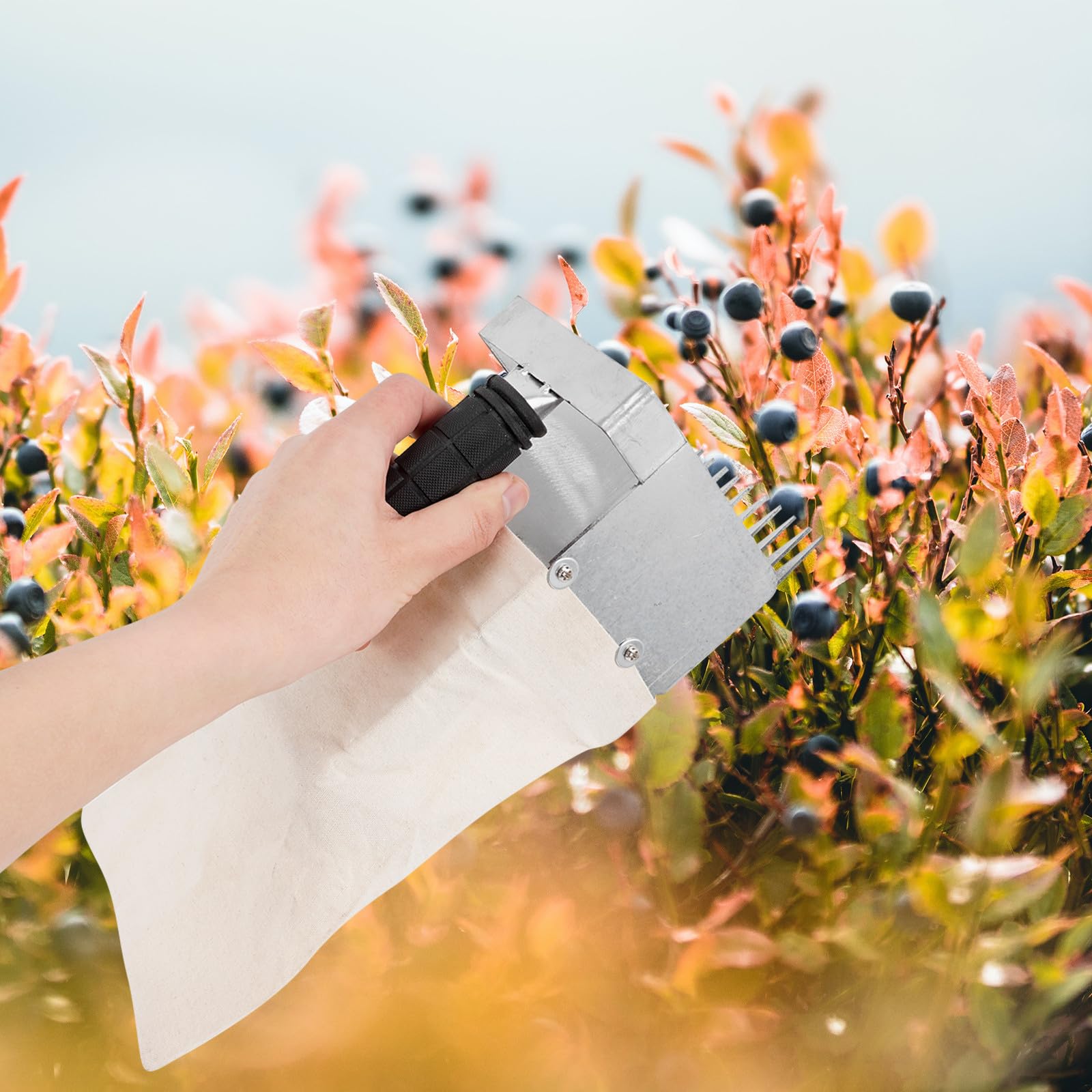 SHERCHPRY Recolector Portátil de Frutas Pala para Arándanos, Herramienta Dentada para Aficionados, Adecuado para Recolección en Huertos Familiares Color Aleatorio