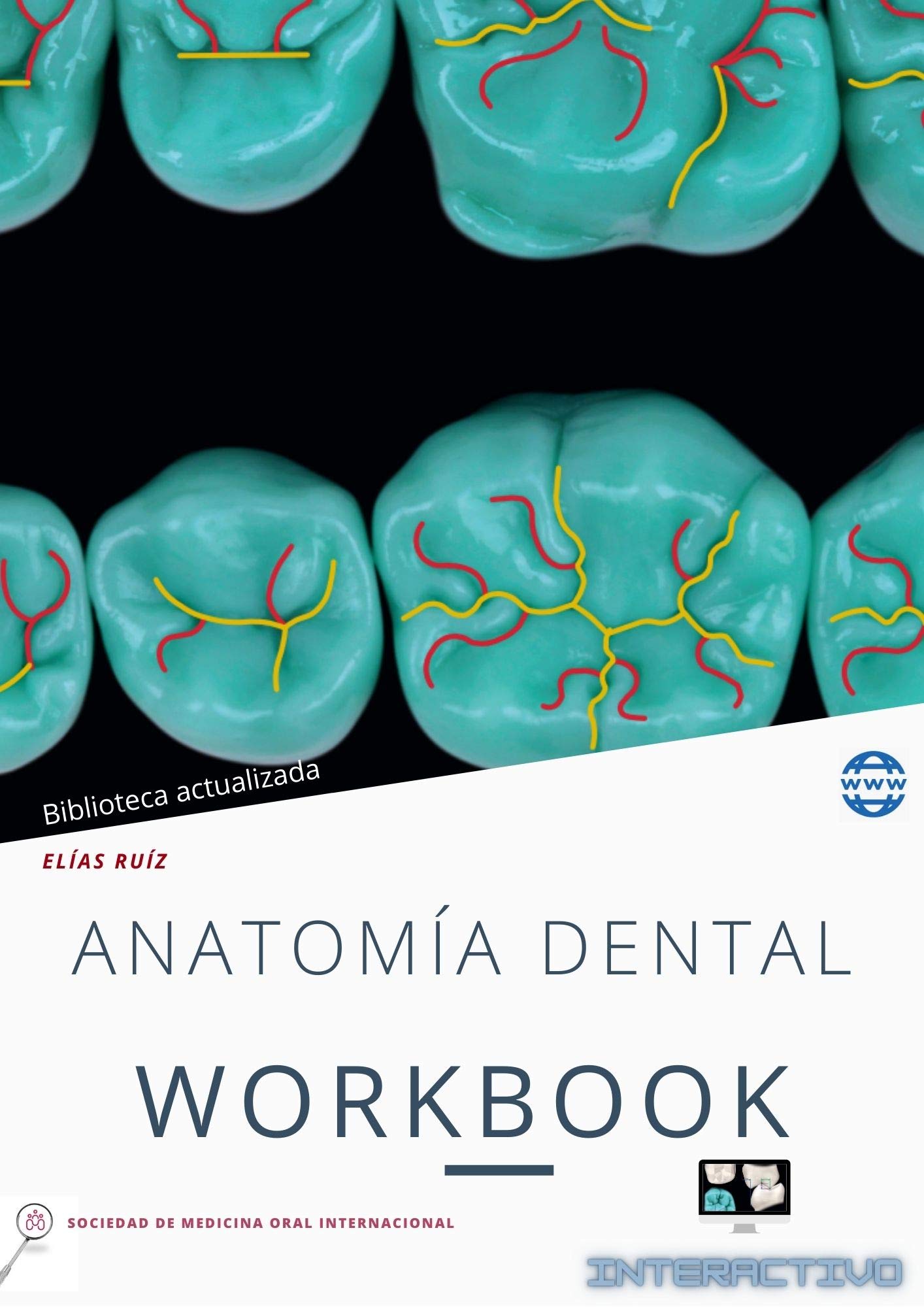 Anatomía Dental Workbook: interactivo