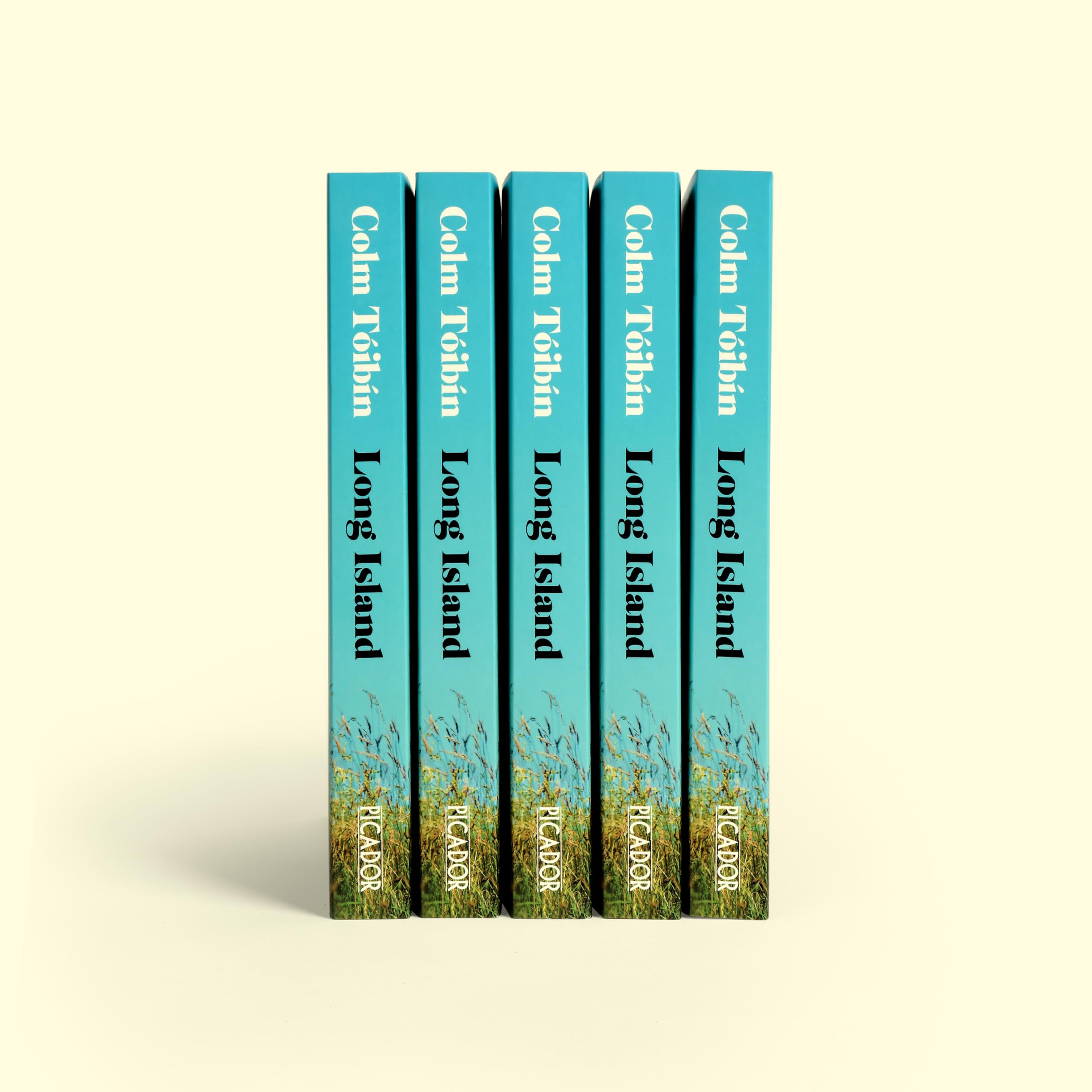 Long Island: The Instant Sunday Times Bestseller