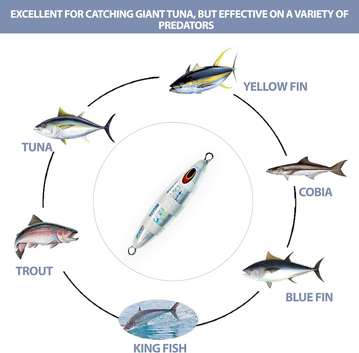 5" Eddie Bomb Jigs 16oz, 2 Pcs Silver Zebra Glow for Vertical Flat Fall Jigging, Unrigged, Ideal for Bluefin Tuna & Offshore Big Game Fishing