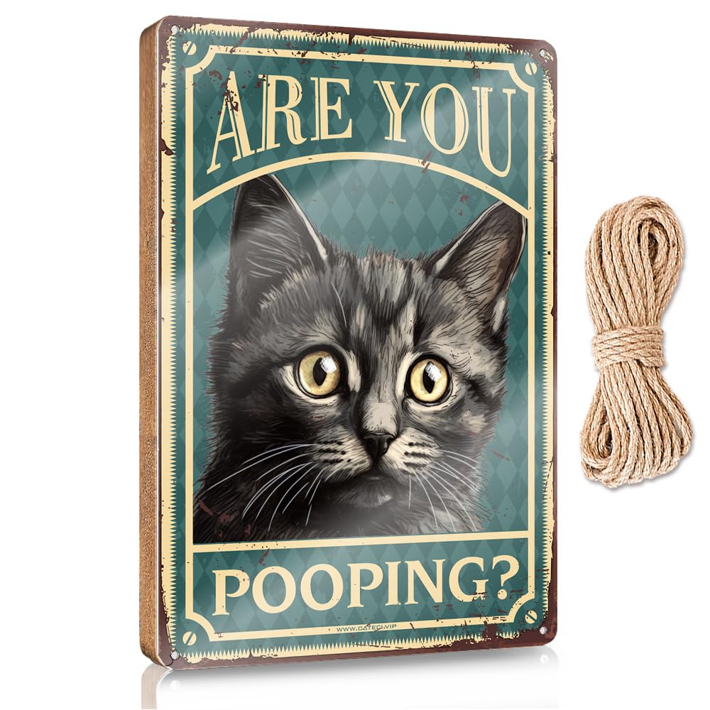 MAHQPZXSF Bathroom Decor Wall Art Funny Are You Pooping Wooden Sign Funny Office Signs Fall Wall Decor(23X35CM)