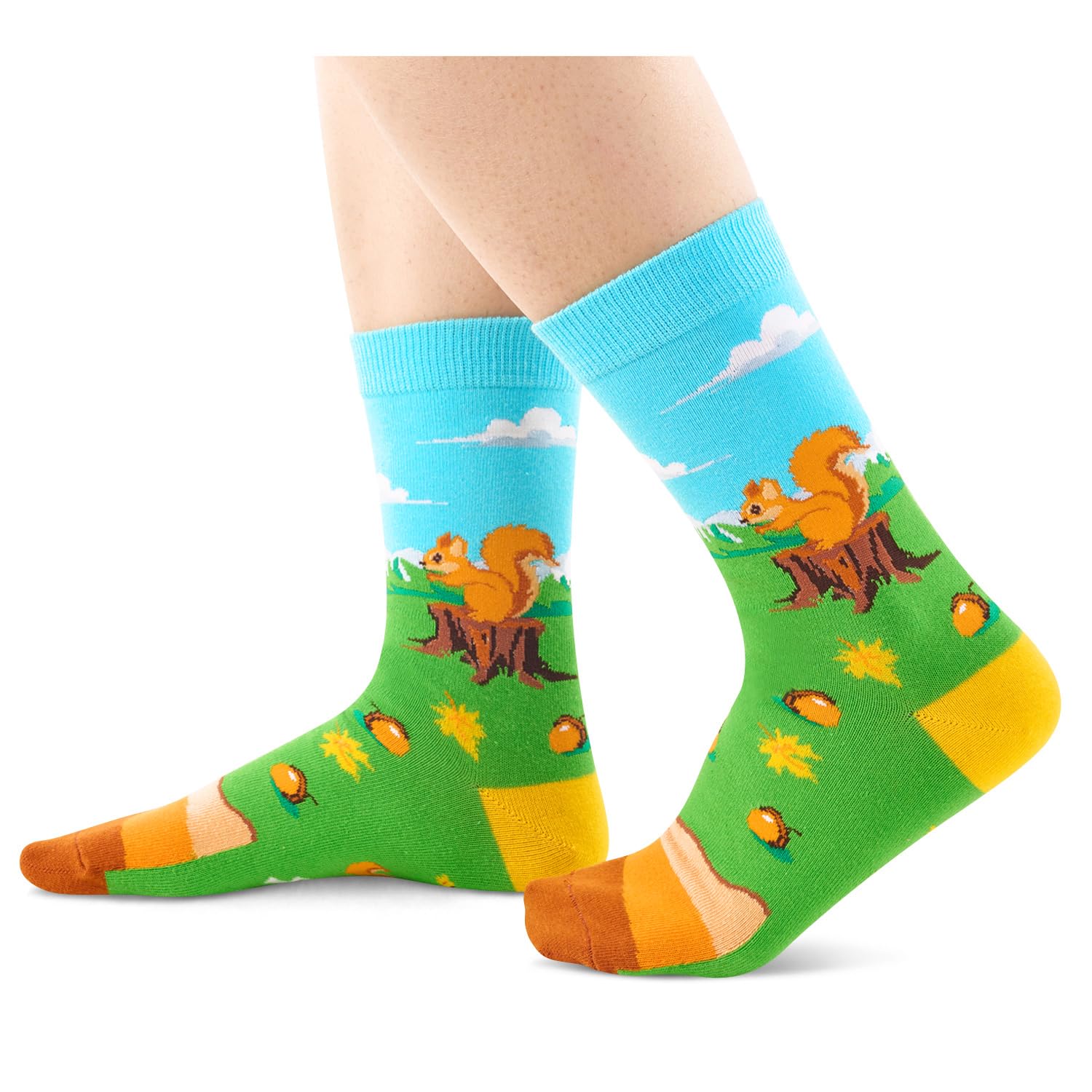 Amazon.com: Zmart: New Arrivals